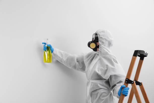 Hustisford, WI Mold Removal & Remediation Company